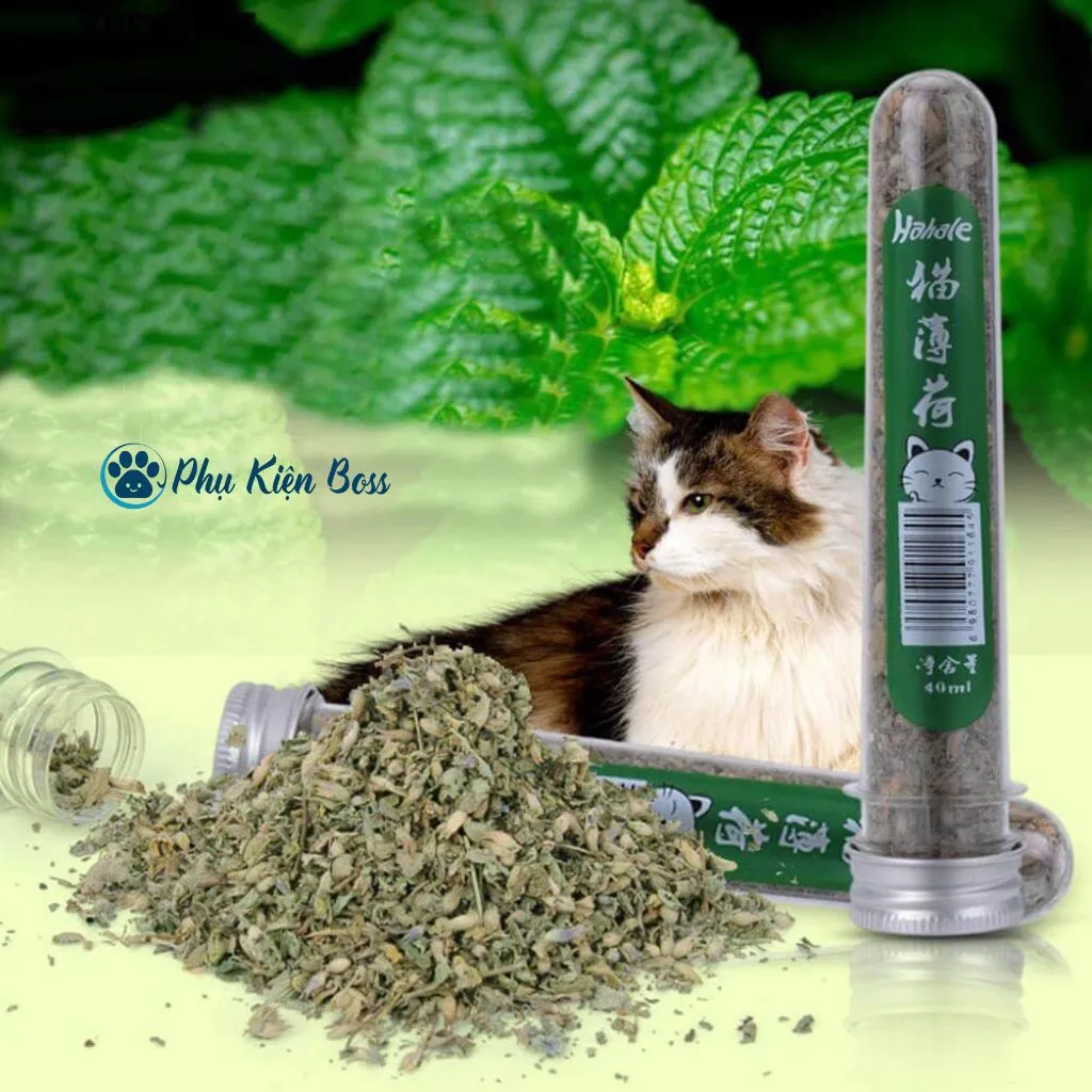 Cỏ Mèo Catnip, Cỏ Bạc Hà Cho Mèo Dạng Ống